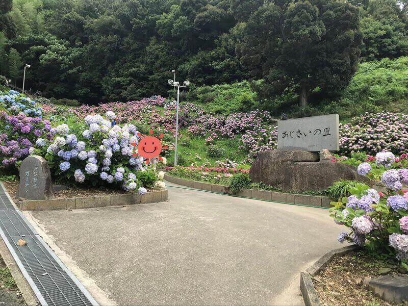 紫陽花の里