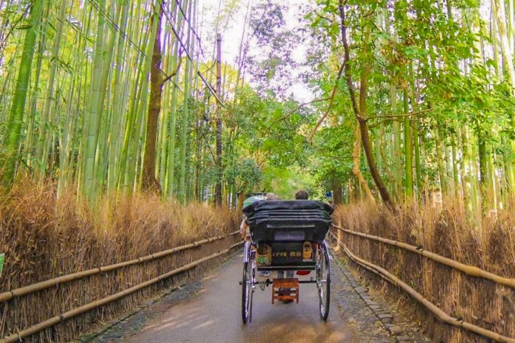 竹林と人力車