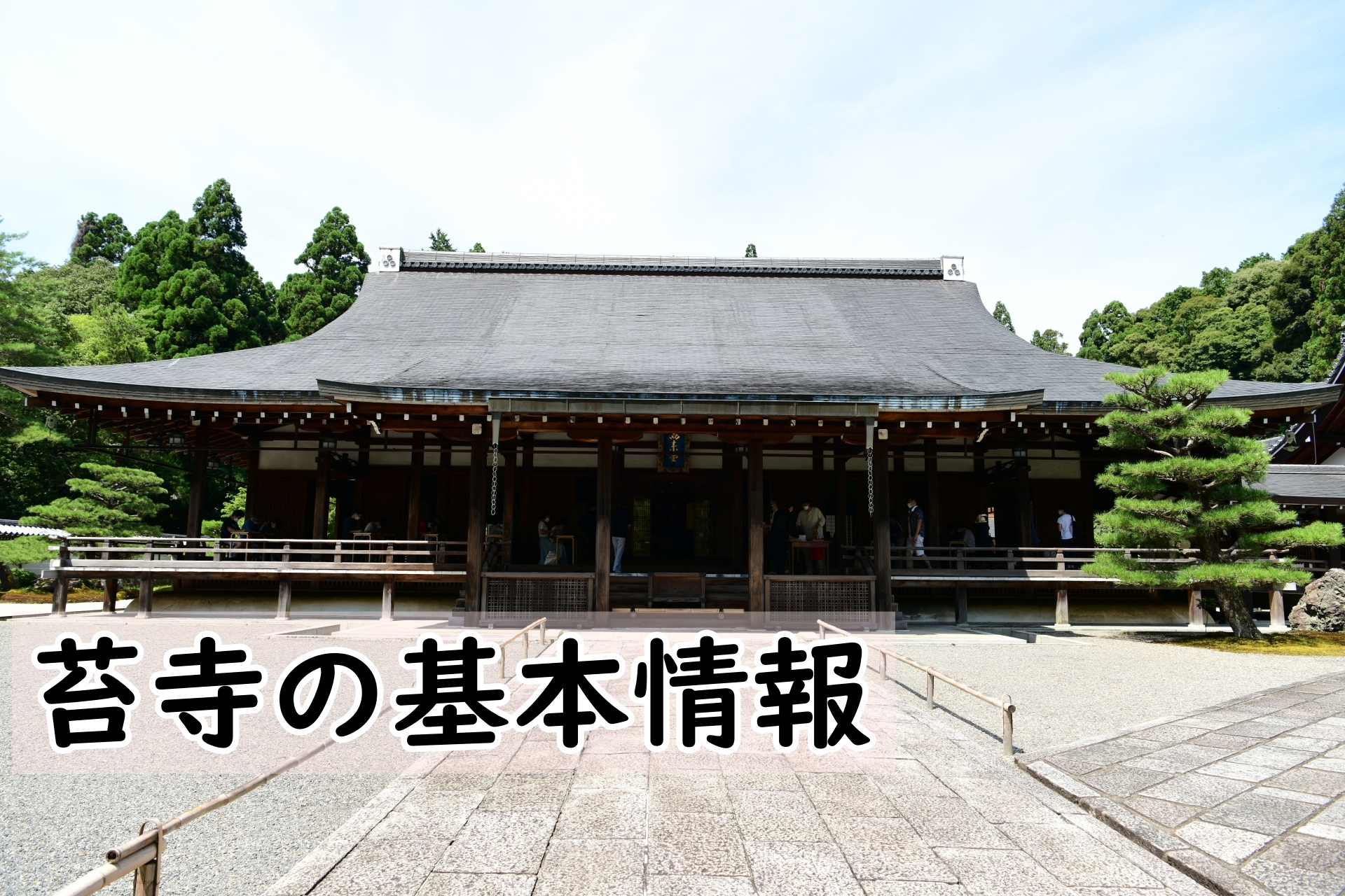 苔寺